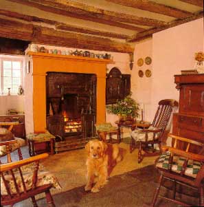 The Kitchen